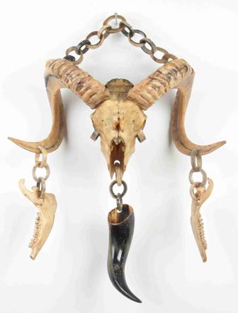 Argali horns are a valuable trophy for any hunter