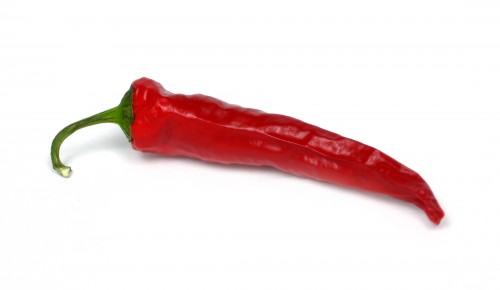 Hot chili pepper!