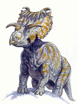 What we think the Kosmoceratops looked like