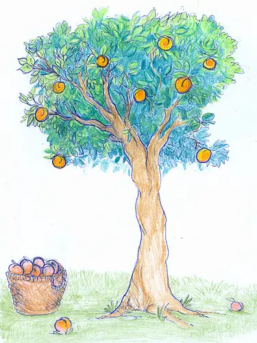 A peach tree