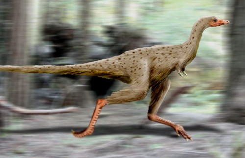 What the Linhenykus monodactylus may have looked like