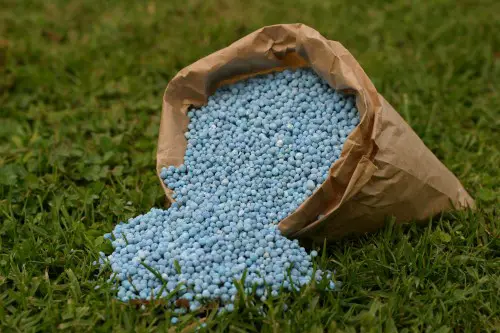 Fertilizers are bad for the environment